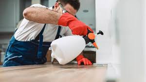 Real Estate Pest Inspections in Baldwin, LA